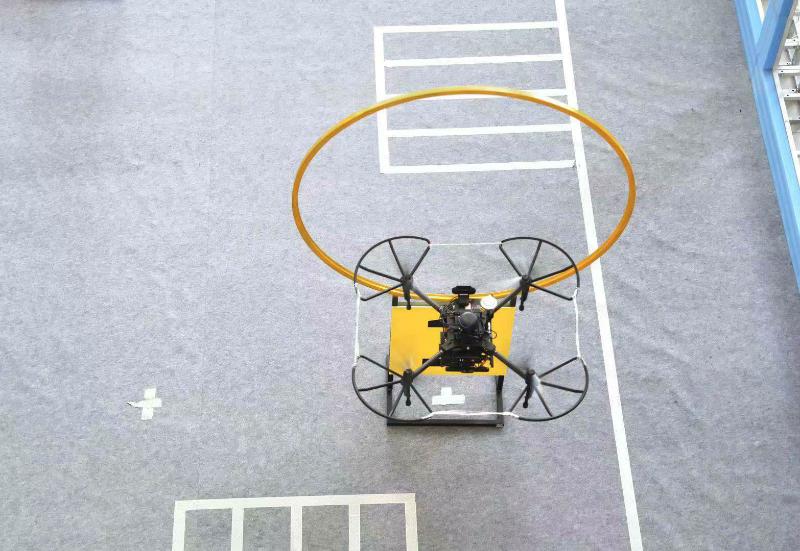 2026重庆马拉松参赛号码怎么分配？(图1)