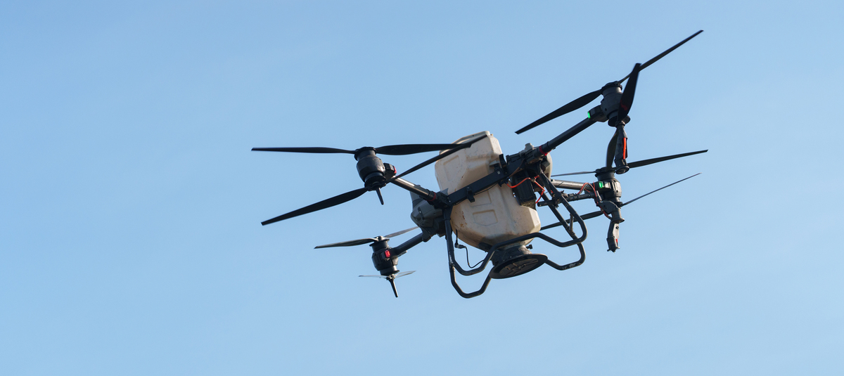 自贡还能“贡”献什么(图1)