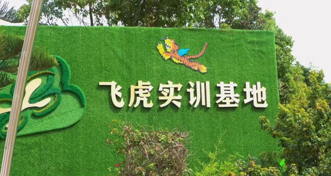 解读｜《循证训练（EBT）实施方法(图1)